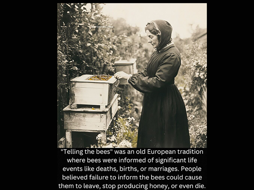 Go tell it to the bees